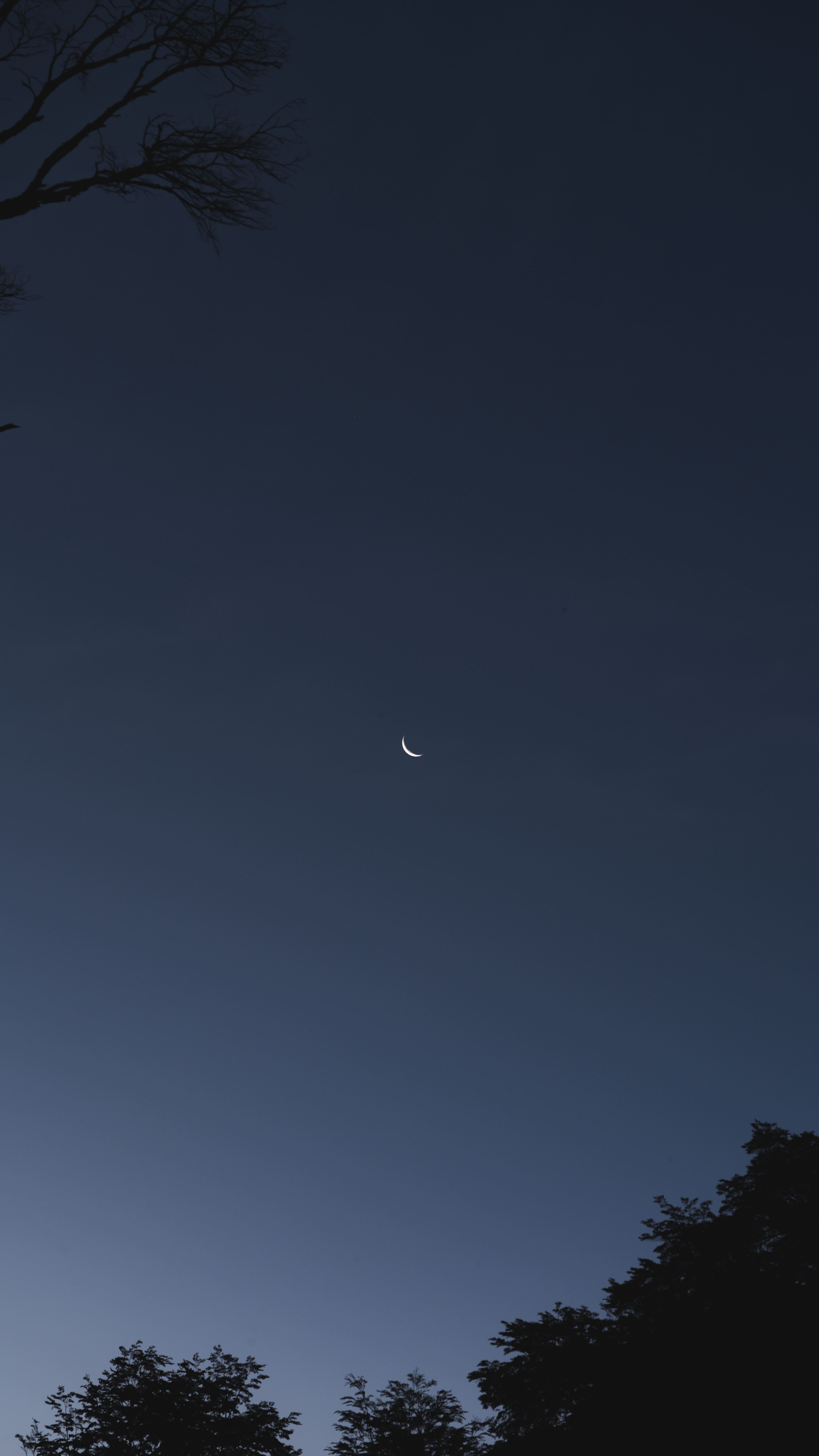 Image36